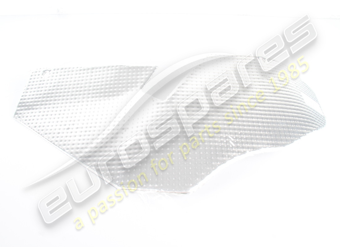 neuer lamborghini-schutz. teilenummer 429863248b (1)