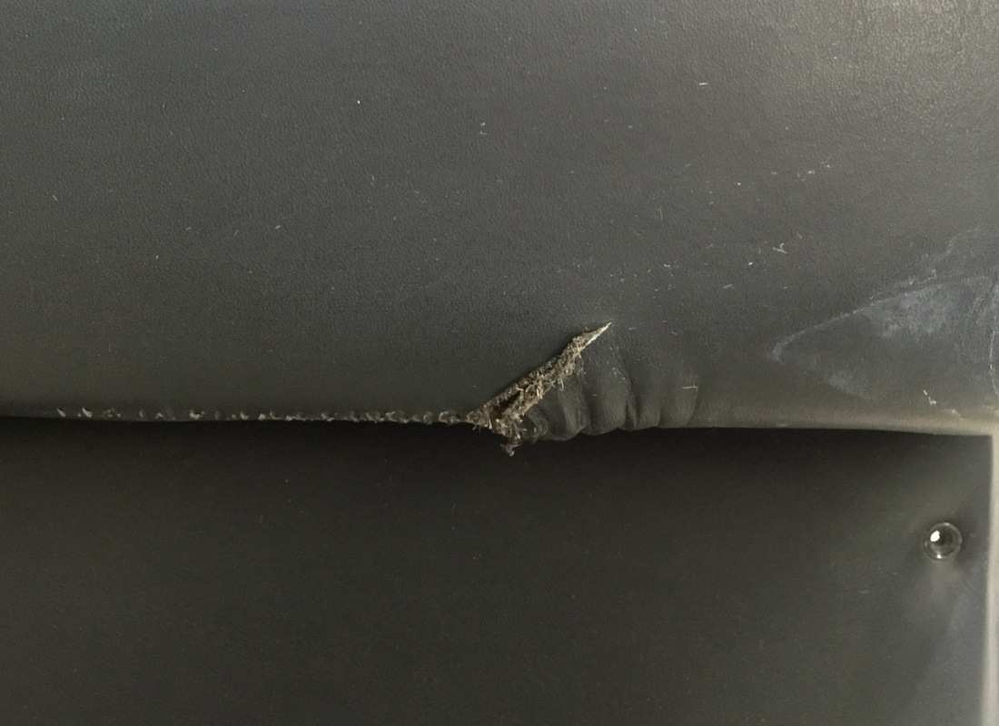 gebrauchte eurospares rechte türverkleidung. teilenummer eap1380710 (4)