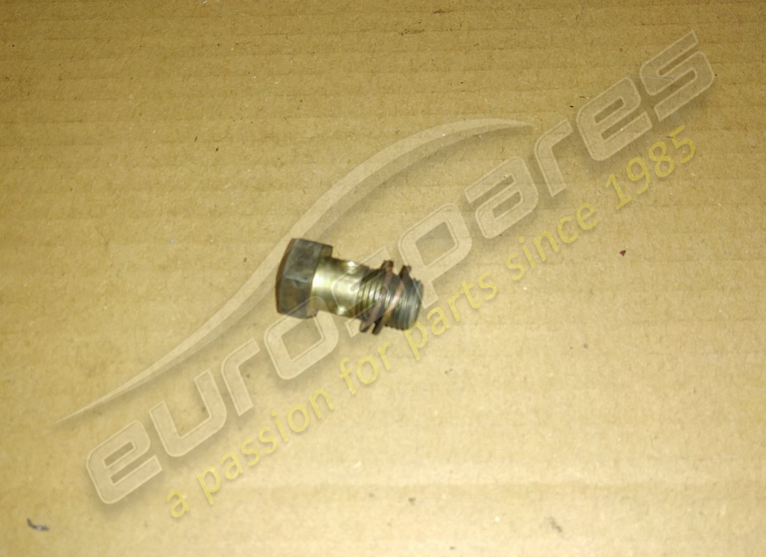 GEBRAUCHTE Ferrari HOHLSCHRAUBE. TEILENUMMER 113670 (1)