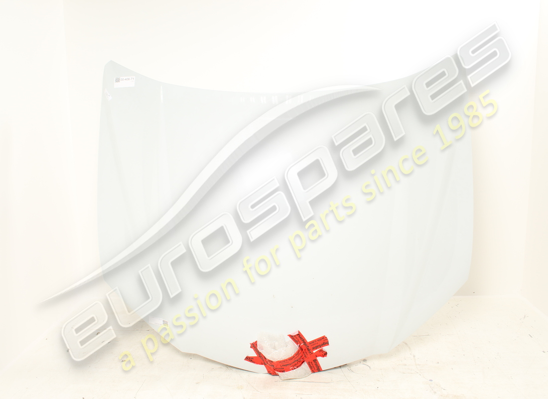 gebrauchte lamborghini haube. teilenummer 4ml823029 (3)