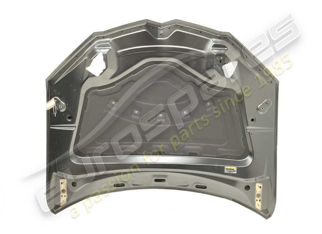 gebrauchte lamborghini haube. teilenummer 4ml823029 (2)