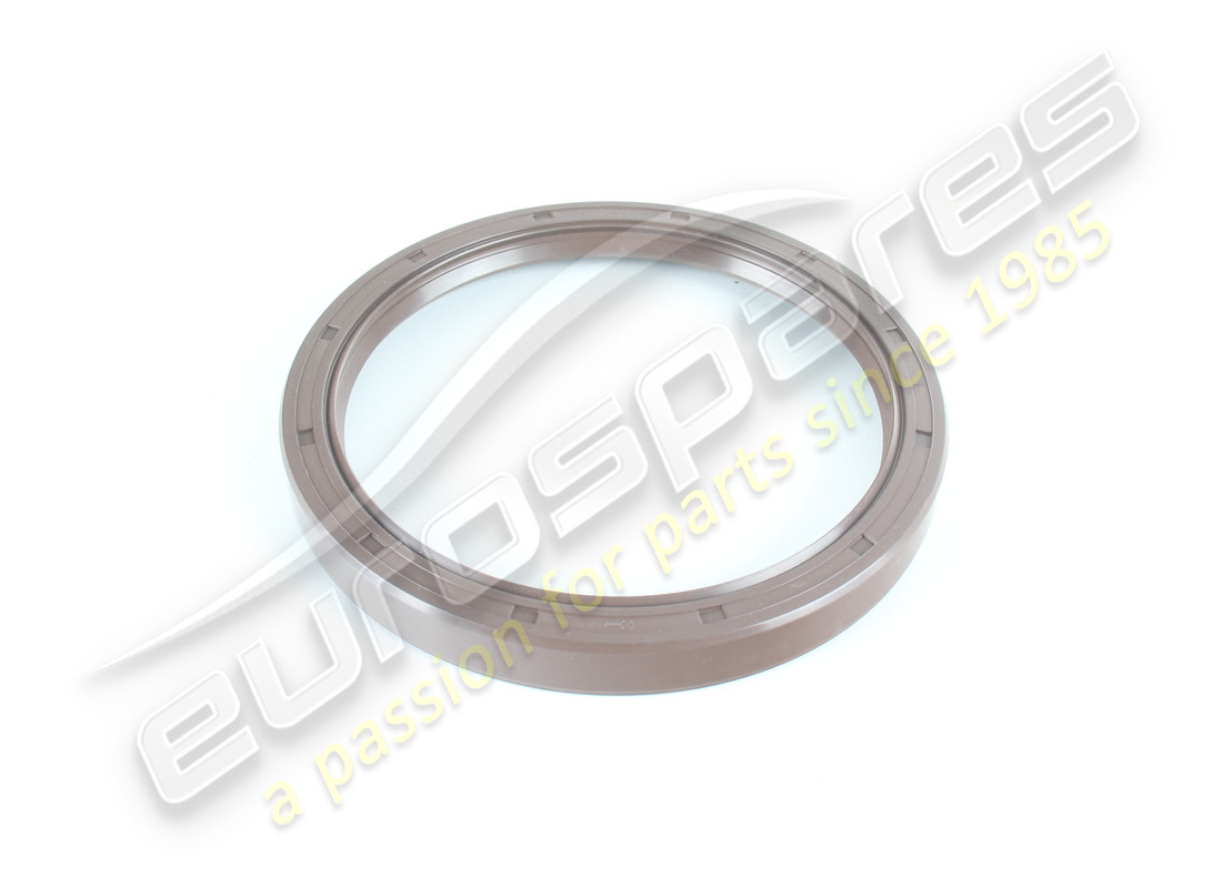 NEUE Eurospares HINTERE HAUPTÖLDICHTUNG. TEILENUMMER 138391 (1)