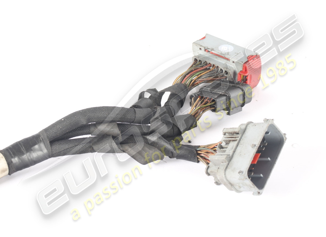 gebrauchter ferrari dct-getriebe-kabelbaum. teilenummer 263810 (3)
