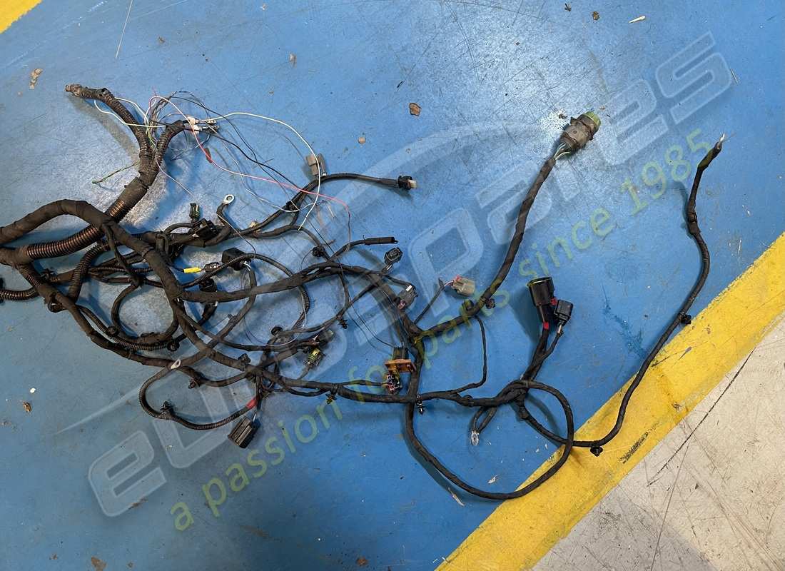 beschädigtes ferrari körperkabel. teilenummer 793877 (3)