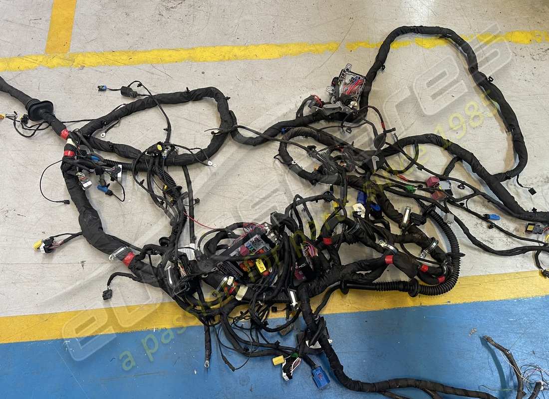 beschädigtes ferrari körperkabel. teilenummer 793877 (2)