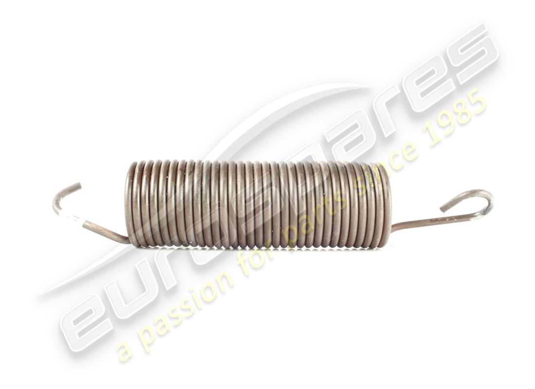 GEBRAUCHTE Maserati HINTERE TÜRFEDER. TEILENUMMER 670006268 (1)