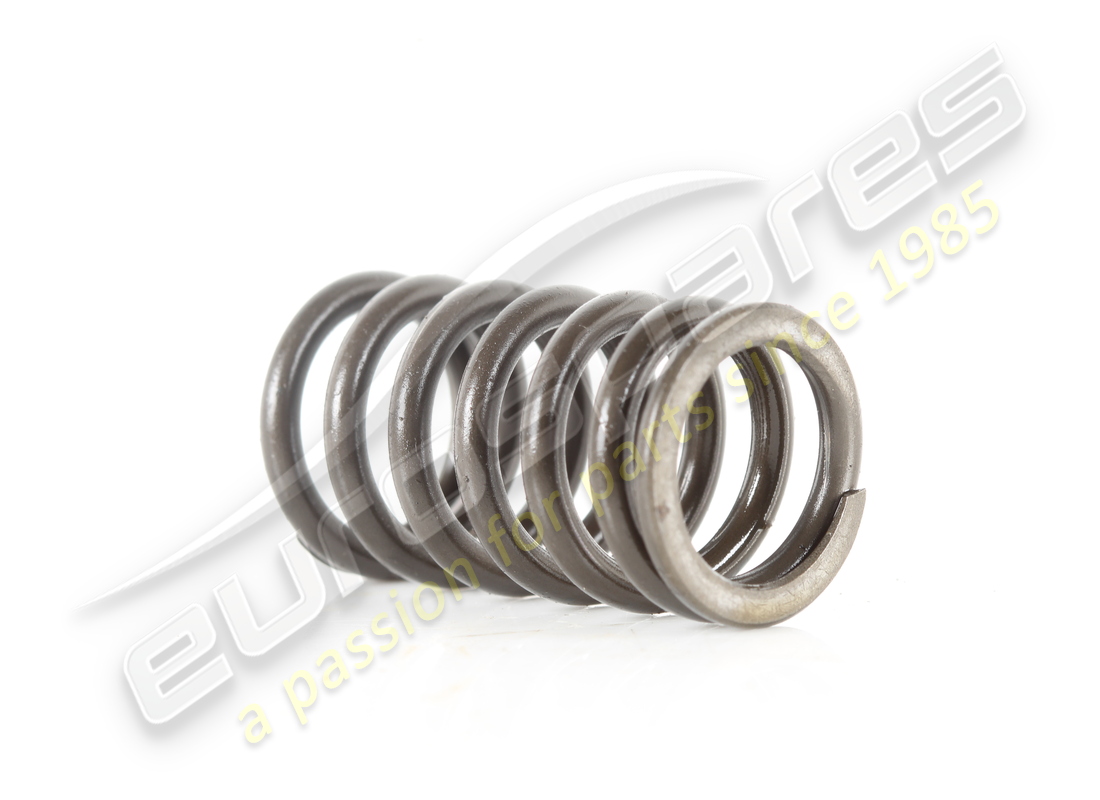 verwendet ferrari innenventilfeder. teilenummer 117558 (2)