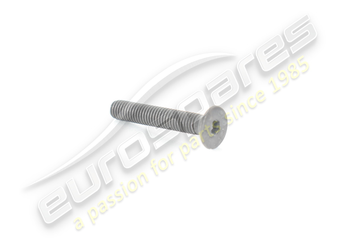 neue ferrari schraube. teilenummer 68927700 (1)