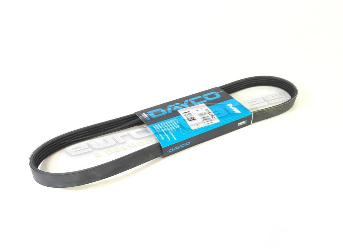 NEUER Eurospares GÜRTEL . TEILENUMMER 201236 (1)