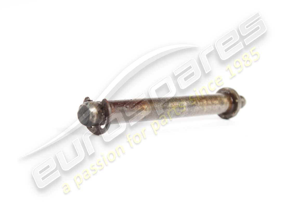 VERWENDET Ferrari Türscharnierstift. TEILENUMMER 63026200 (1)
