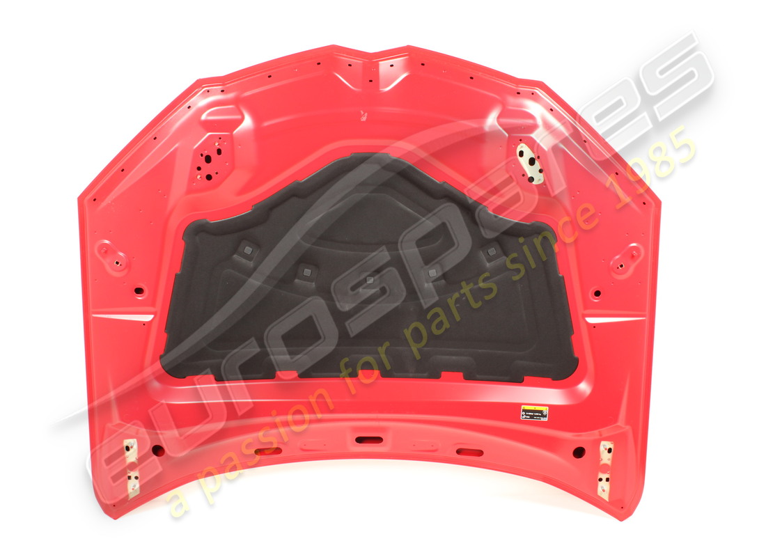 gebrauchte lamborghini haube. teilenummer 4ml823029 (2)