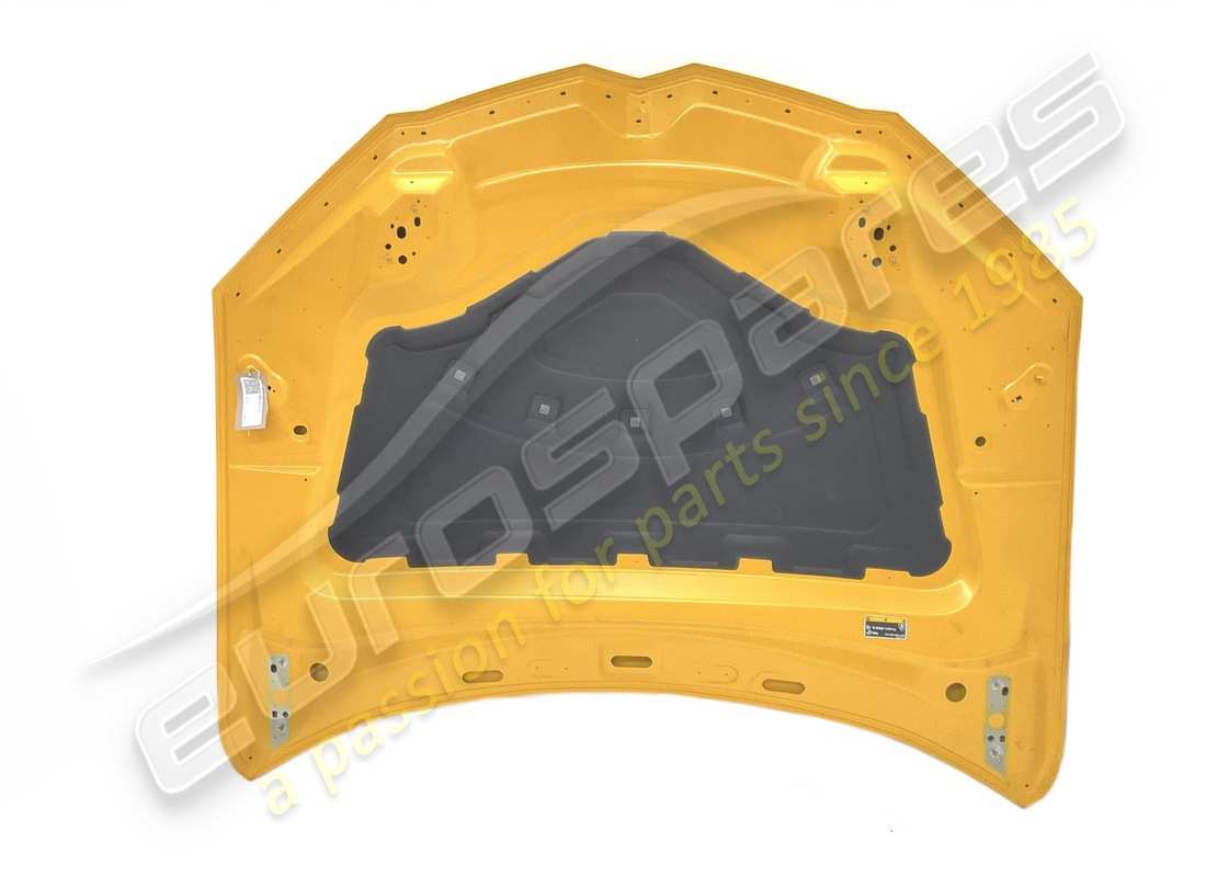 gebrauchte lamborghini haube. teilenummer 4ml823029 (2)