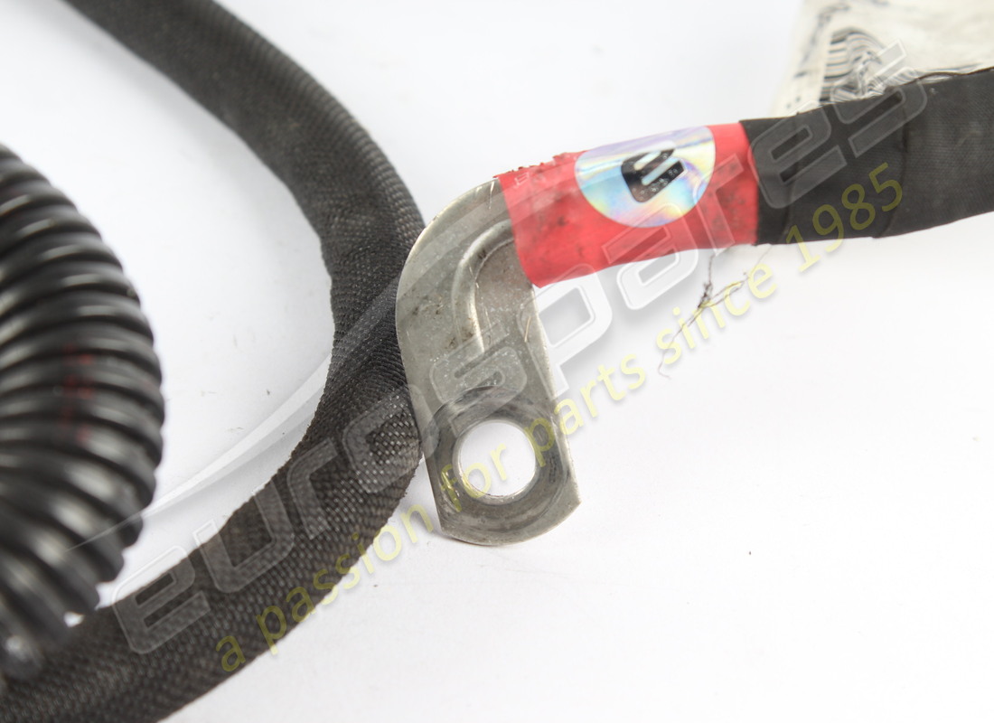 gebrauchtes ferrari motorservicekabel. teilenummer 769019 (2)