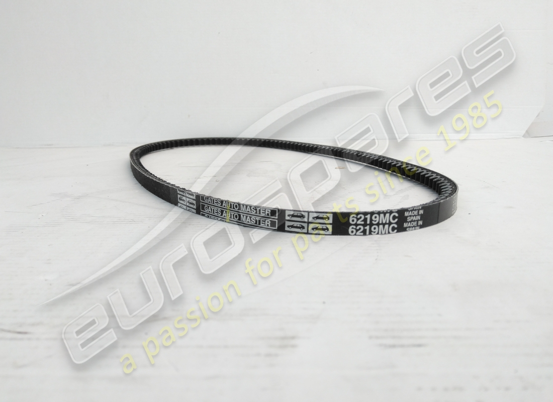 neuer eurospares gürtel. teilenummer 125557 (2)