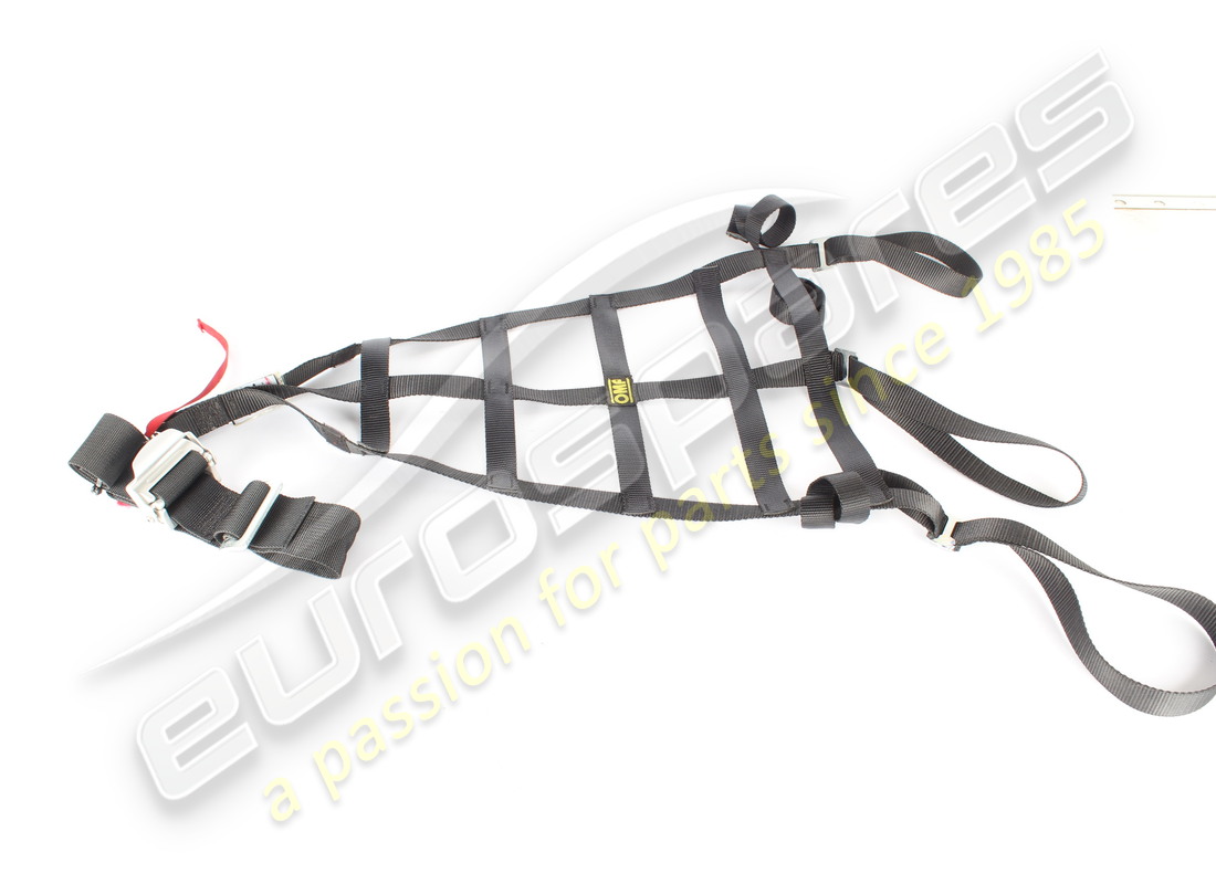 GEBRAUCHTES Ferrari LH HELMSCHUTZNETZ . TEILENUMMER 88923700 (1)