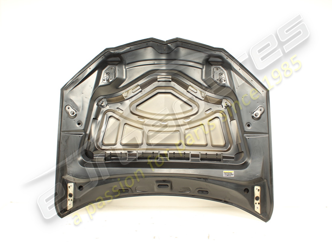 beschädigte lamborghini haube. teilenummer 4ml823029 (3)