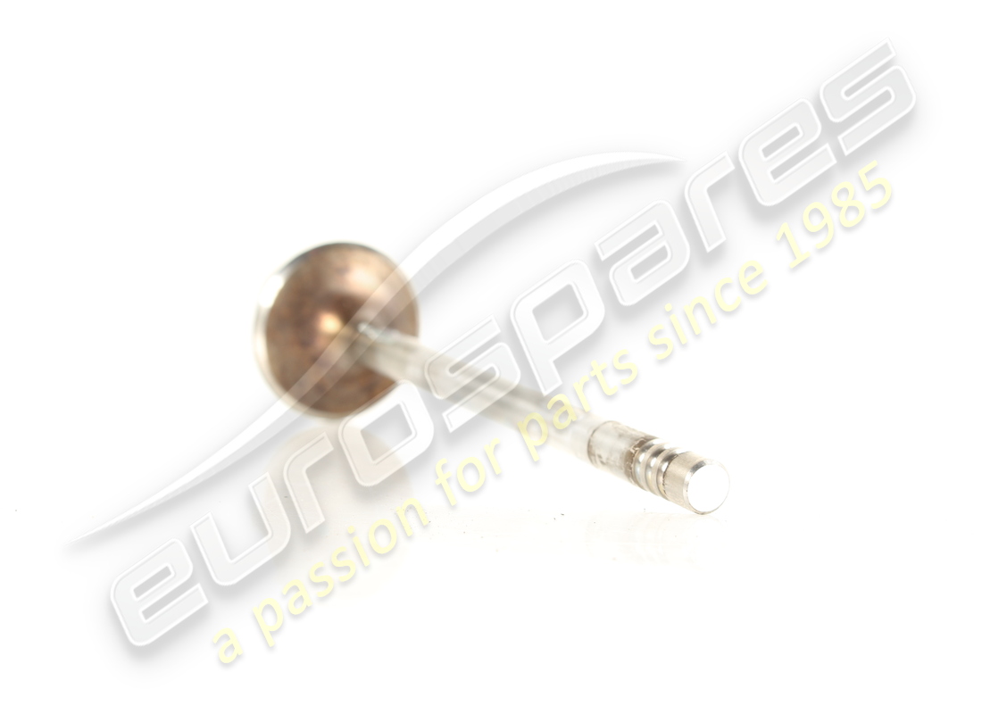 verwendetes maserati einlassventil. teilenummer 578031900 (3)