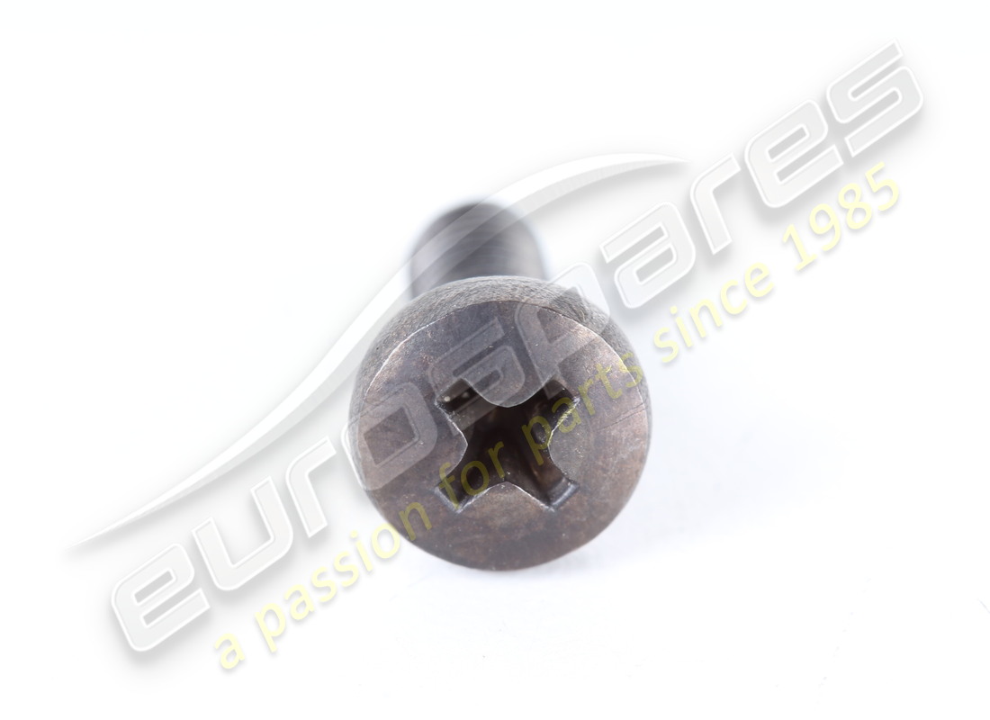neue ferrari schraube. teilenummer 13274117 (2)