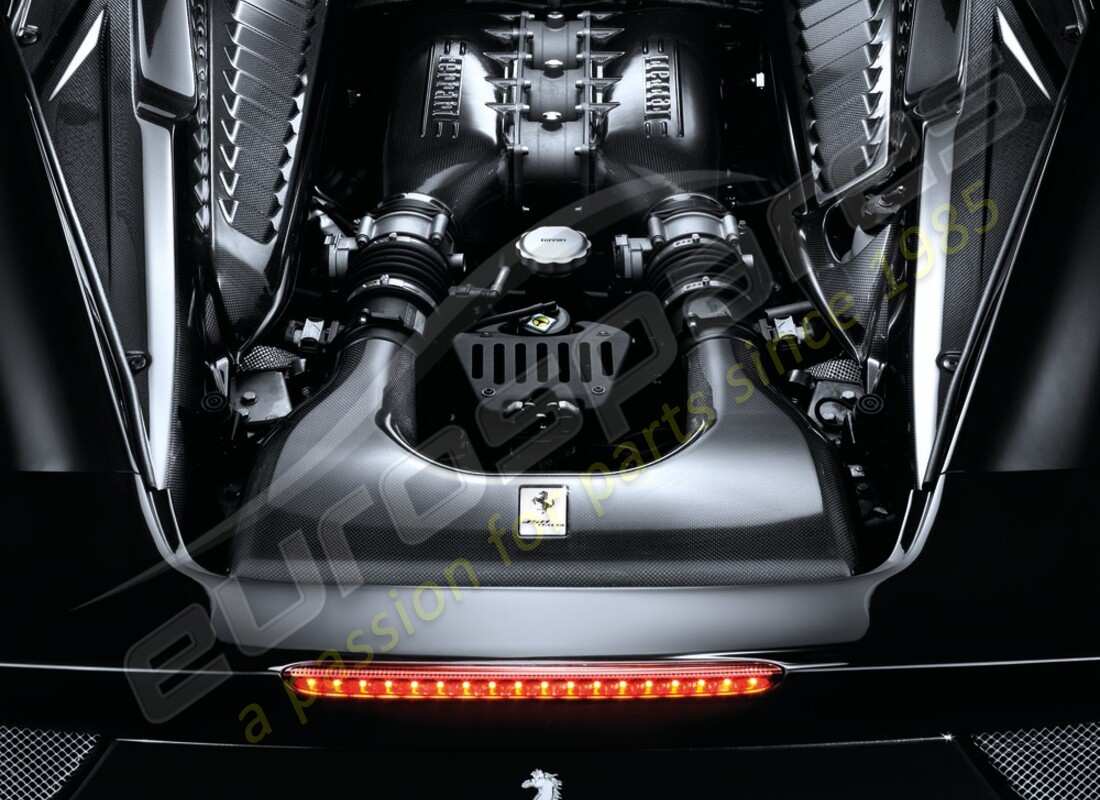 neue ferrari kohlefaser-luftkammer. teilenummer 70002222 (1)