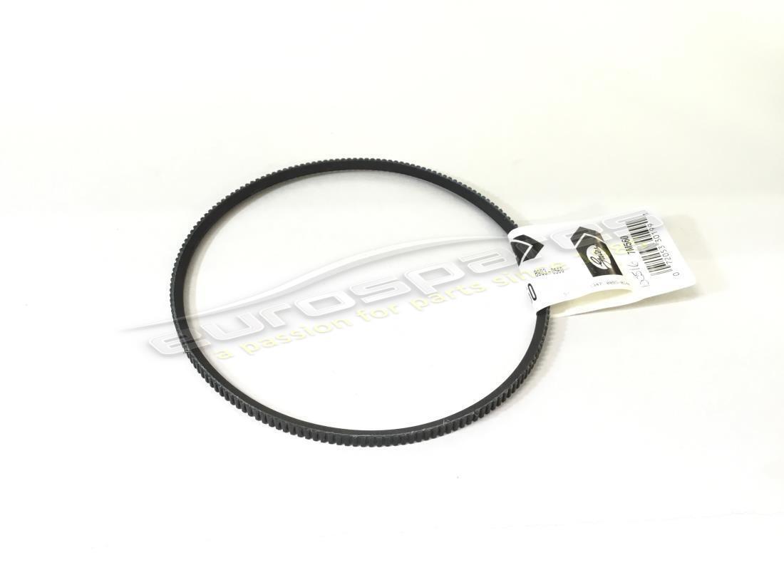 neuer oem fanbelt. teilenummer 100516 (1)