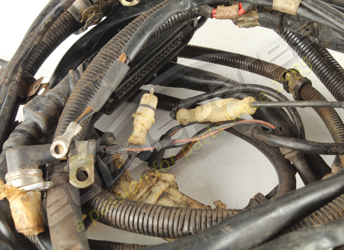 ferrari kabel verwendet. teilenummer 124372 (3)