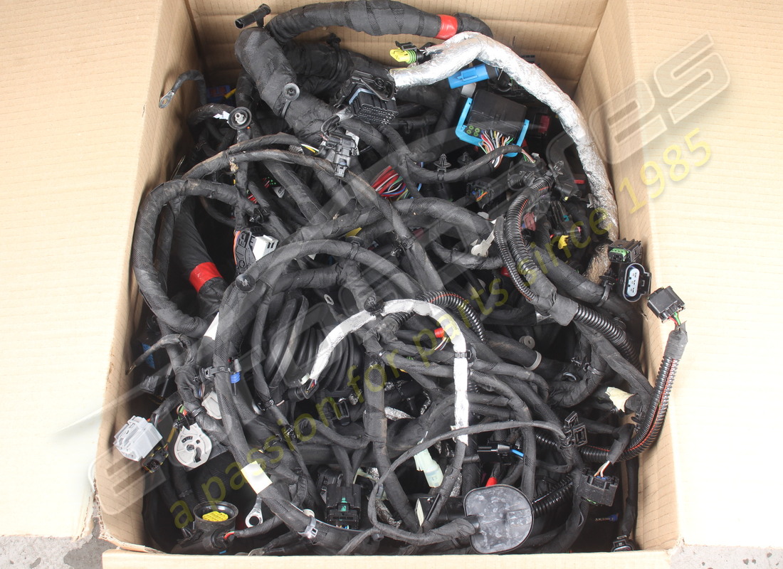 BESCHÄDIGTES Ferrari KÖRPERKABEL. TEILENUMMER 793873 (1)