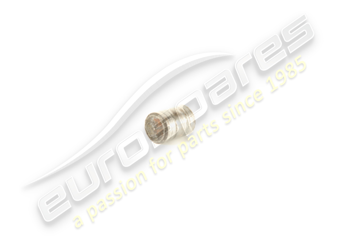 ferrari pin verwendet. teilenummer 101282 (1)