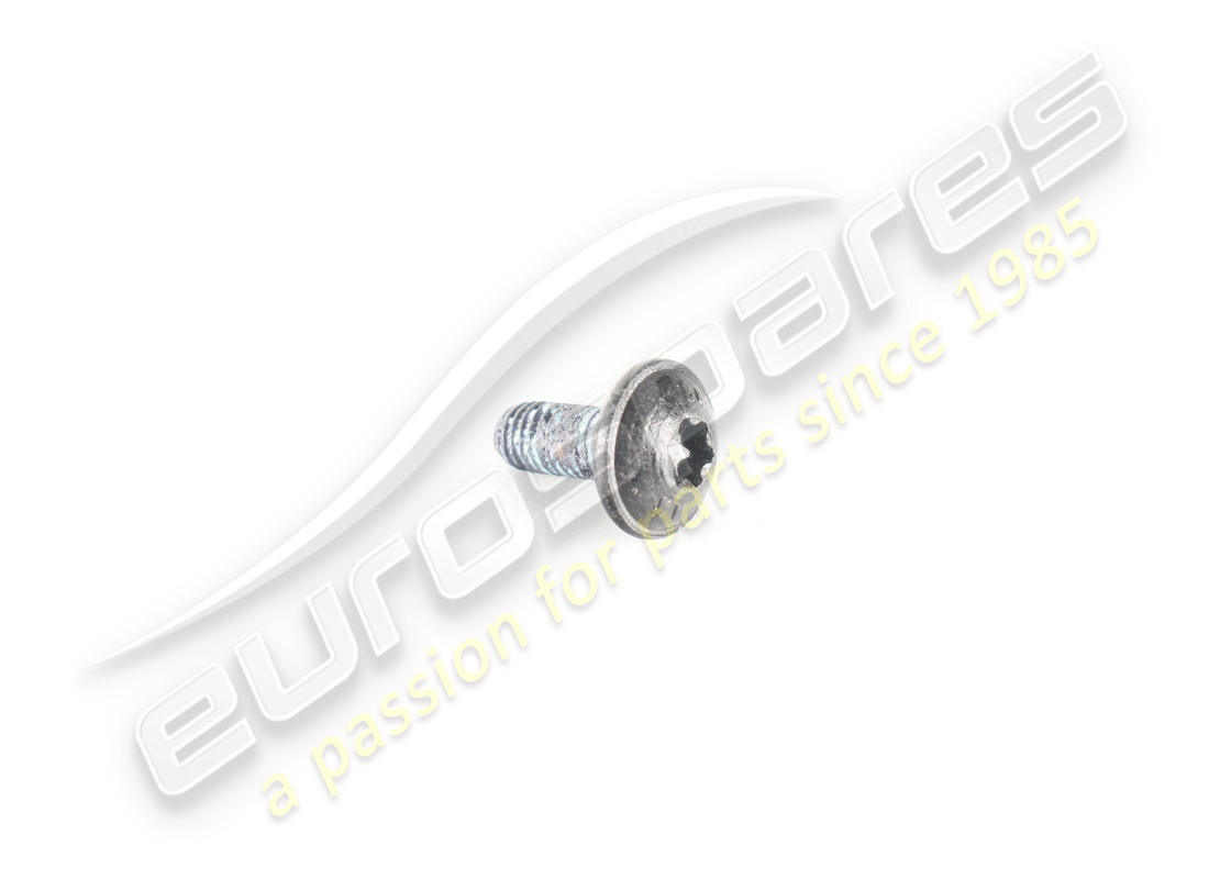 neue ferrari schraube. teilenummer 81976200 (1)