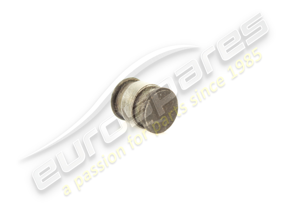ferrari pin verwendet. teilenummer 101283 (2)