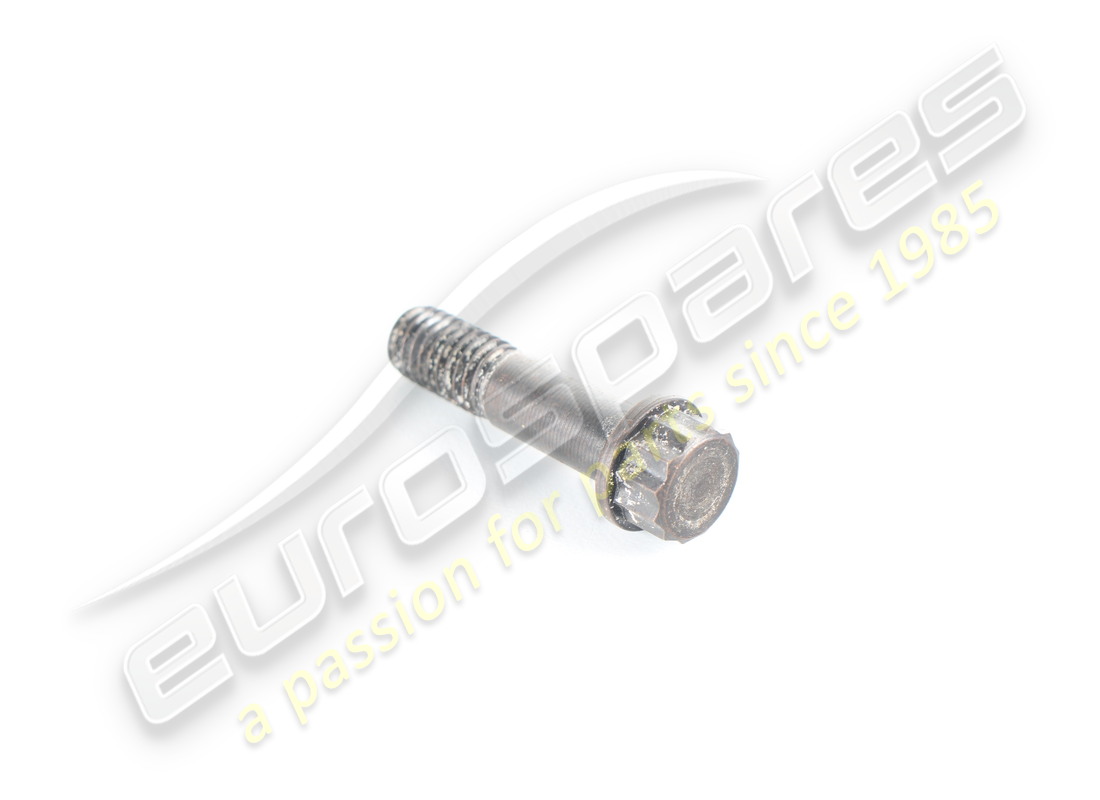 neue ferrari turboschraube. teilenummer 123003 (1)