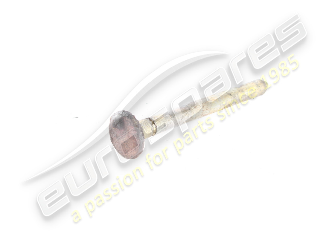 VERWENDET Ferrari Türscharnierstift. TEILENUMMER 62054100 (1)