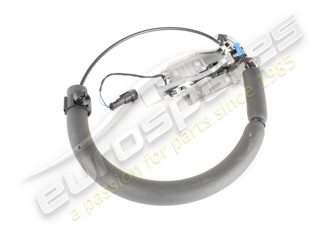 verwendet ferrari linkes äusseres türgriffmodul. teilenummer 768209 (3)