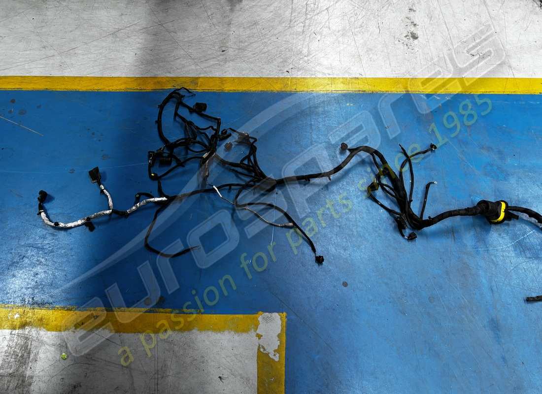 BESCHÄDIGT Ferrari HINTERES KABEL . TEILENUMMER 338456 (1)
