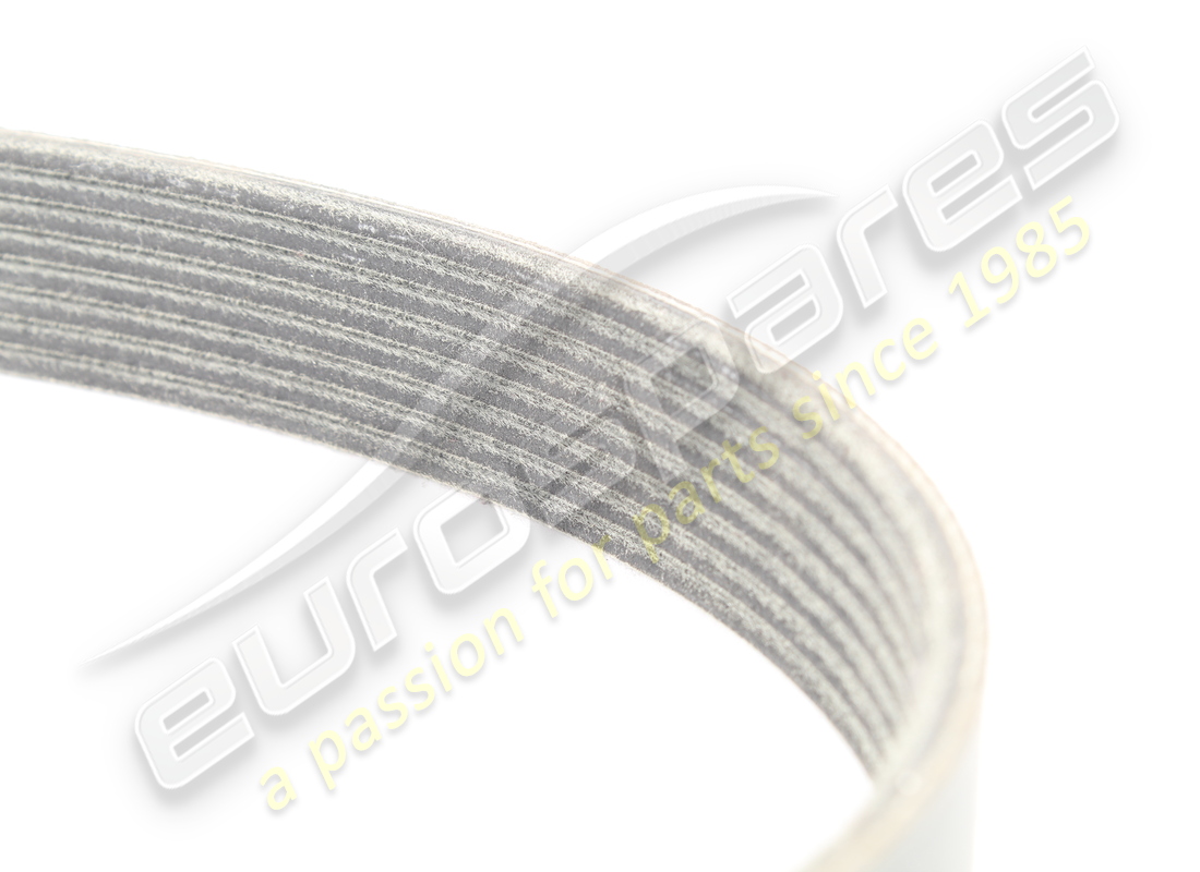 neu ferrari riemen poly-v k8. teilenummer 199827 (3)