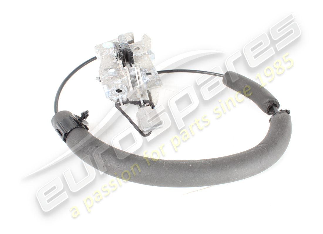 gebrauchtes ferrari rechtes türgriffmodul aussen. teilenummer 768210 (5)