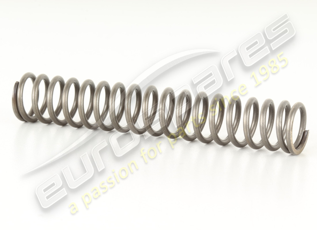NEUER Eurospares FRÜHLING . TEILENUMMER 104148 (1)