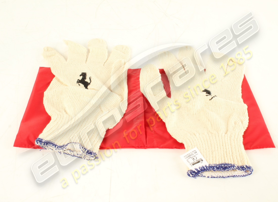 gebrauchtes ferrari zubehörkoffer. teilenummer 65253000 (2)