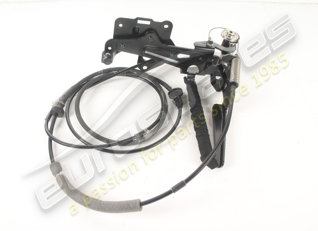 gebraucht ferrari komplette linke klappe. teilenummer 801214 (1)